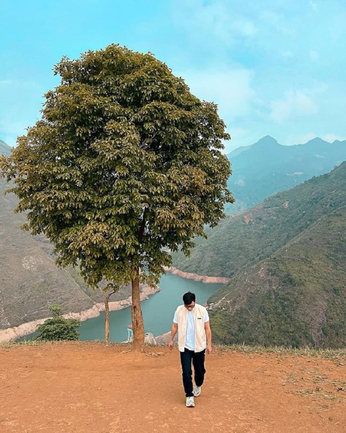 In addition to the lonely tree in the West Lake of Vietnam, there is also a lonely tree in Ta Xua