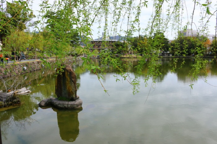 Sarusawa Ike - Địa điểm du lịch ở công viên Nara Park