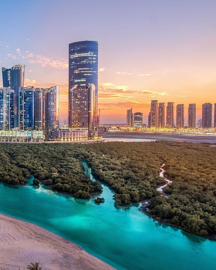 Rừng ngập mặn ở Abu Dhabi - Địa điểm du lịch Abu Dhabi