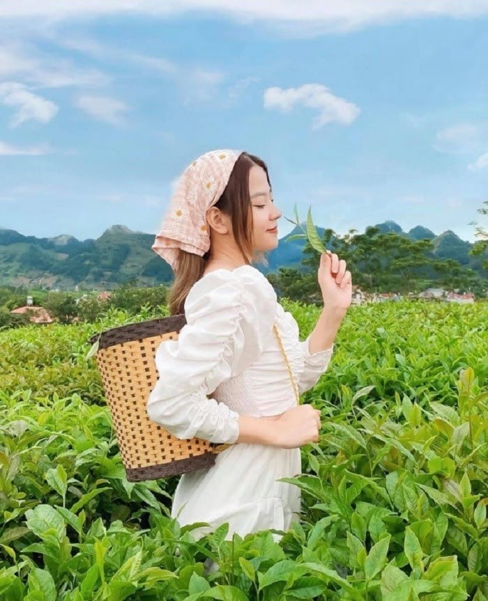 Đồi chè là một trong những địa điểm du lịch nổi tiếng và lãng mạn nhất của Việt Nam. Hãy đến đây để thưởng ngoạn cảnh đồi chè tuyệt đẹp, thưởng thức trà và cảm nhận vẻ đẹp của thiên nhiên.