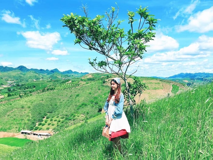 Check-in live virtual in the green and enchanting Red Star grassland