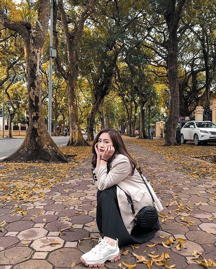 Experiencing autumn in Hanoi - walking on the road of yellow leaves