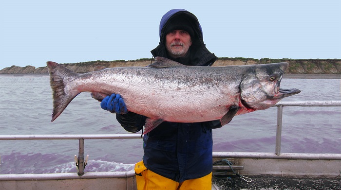Cá hồi Alaska tươi - Kinh nghiệm du lịch Alaska