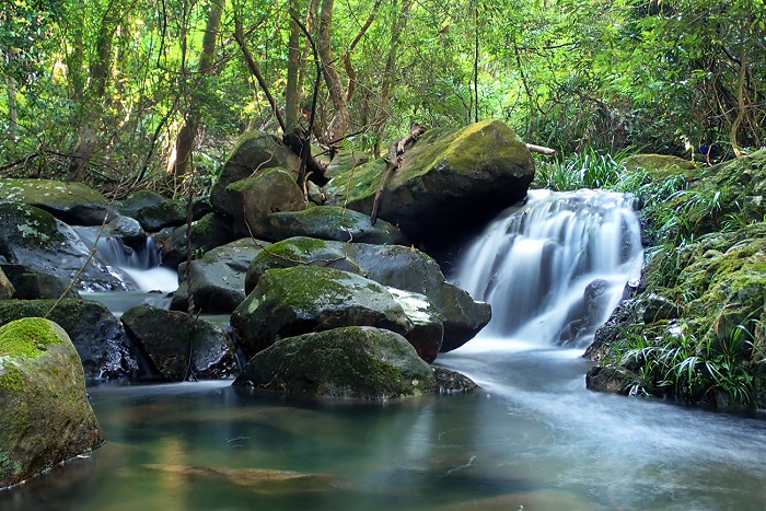 Tai Po Kau - Các khu bảo tồn thiên nhiên ở Hồng Kông