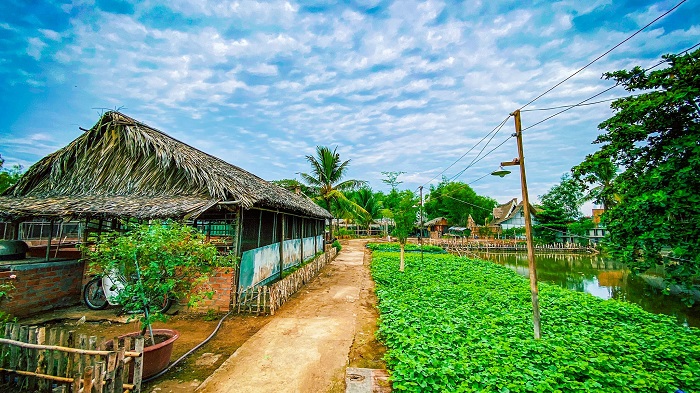 Experience going to 5Ku Farm Saigon - beautiful scenery