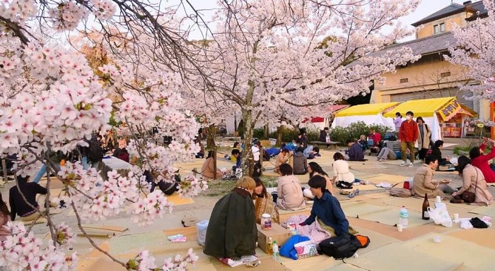 Kema Sakuranomiya - Lễ hội ở Osaka
