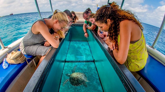 Experience a glass-bottom boat ride on Hon Mun Island