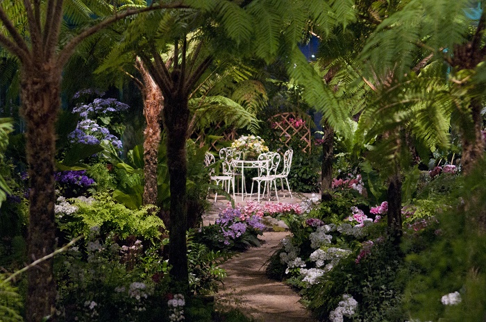 Khu phức hợp cung cấp nhiều loại cây và hoa quý hiếm ấn tượng, - Nhà kính hoàng gia Laeken Bỉ