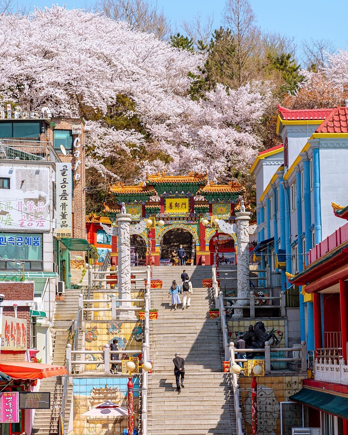 Đến khu phố Tàu ở Incheon khám phá ẩm thực Trung Hoa nức tiếng
