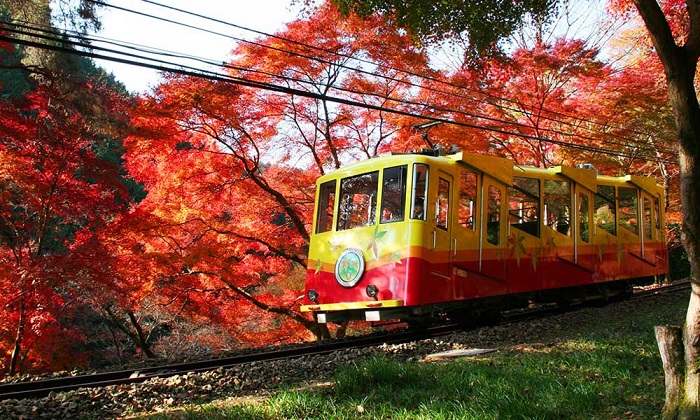 Núi Takao - địa điểm ngắm lá đỏ ở Tokyo