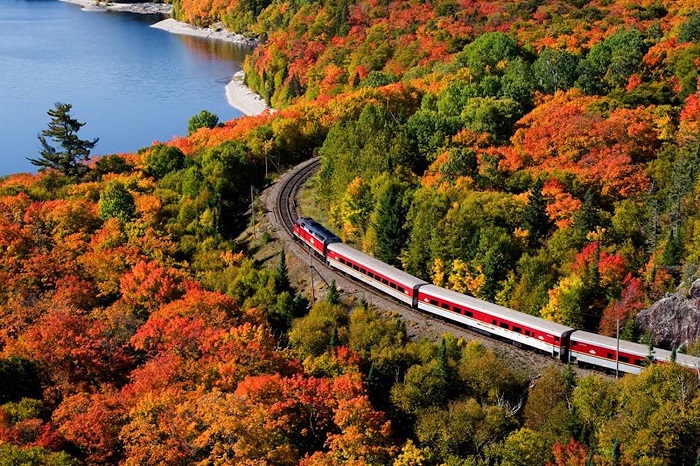 Chuyến tàu Agawa Canyon Tour  - ngắm lá mùa thu ở Canada