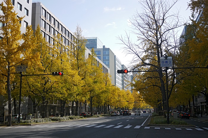 Đại lộ Midosuji - Địa điểm ngắm lá đỏ ở Osaka