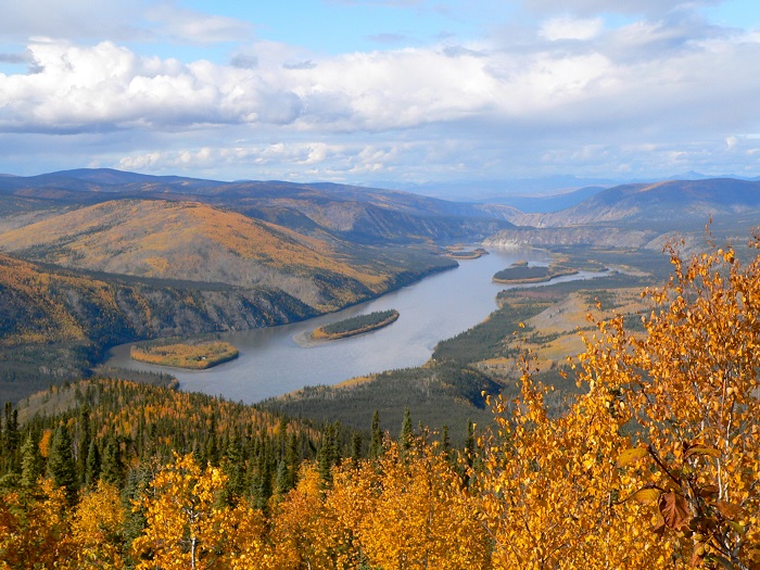 Lá mùa thu rực rỡ trên vùng lãnh nguyên Yukon - ngắm lá mùa thu ở Canada