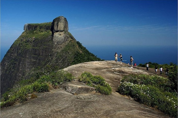 Vườn quốc gia Tijuca Brazil có gì? 
