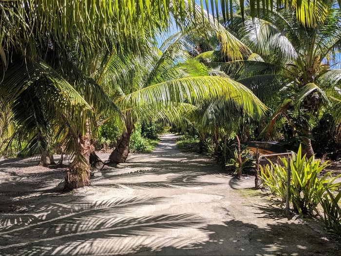 Những bãi biển trắng mịn với những cây dừa - Du lịch Kiribati 