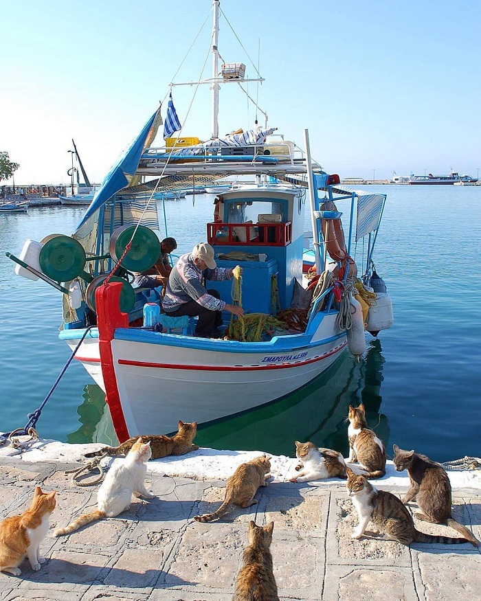 Bến cảng ở Samos - du lịch đảo Samos Hy Lạp