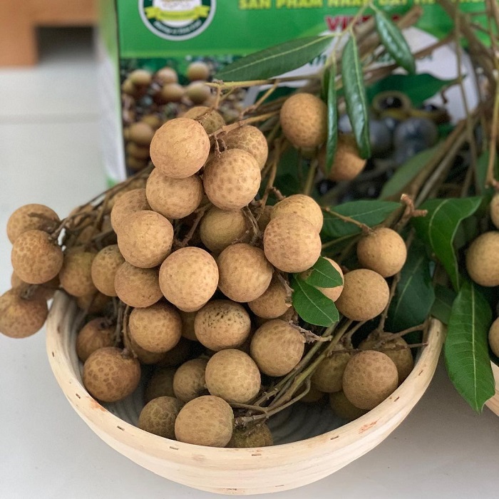 Longan is one of the specialty fruits of the North