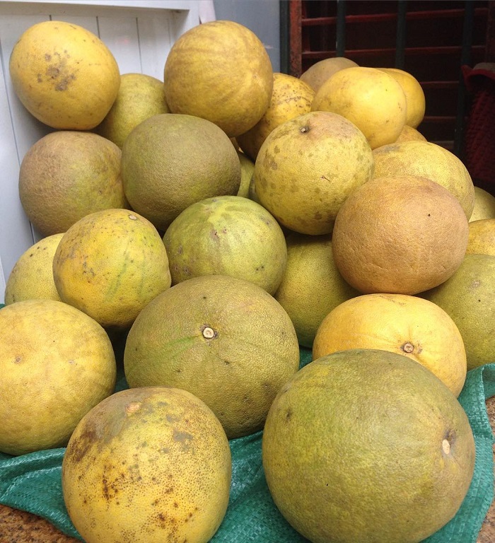 Bưởi Đoan Hùng là một trong các loại trái cây đặc sản miền Bắc
