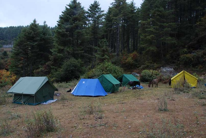 Cắm trại là một trong những hoạt động giải trí ở tu viện Phajoding Bhutan