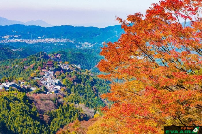 Núi Kongo - Địa điểm ngắm lá đỏ ở Osaka