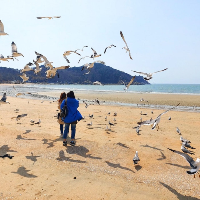 Bãi biển Eulwangri - địa điểm tham quan ở Incheon