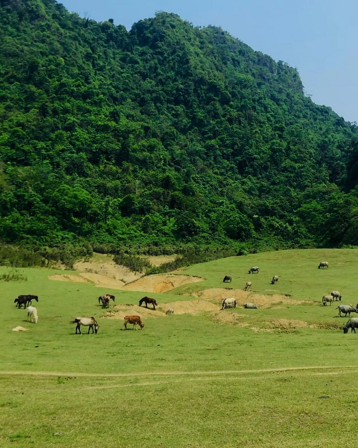 Thảo nguyên Đồng Lâm là điểm đến ở Hữu Lũng Lạng Sơn rất đẹp