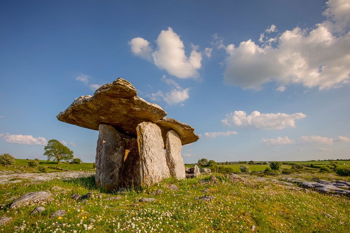 The Burren - Hướng dẫn du lịch Ireland 