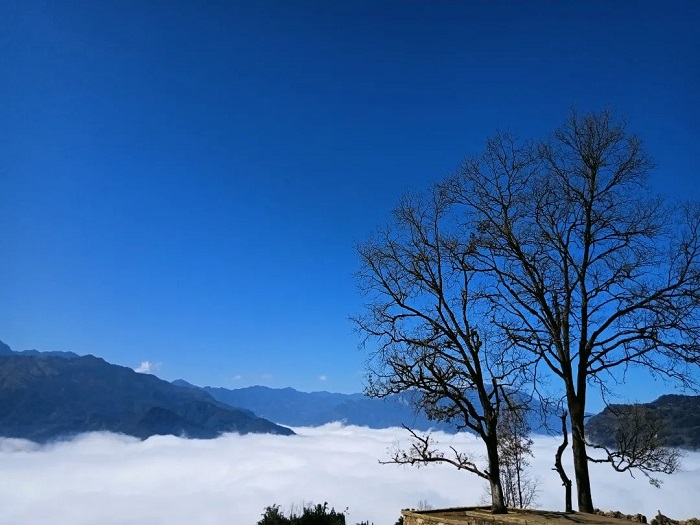 Explore Choan Then Y Ty Lao Cai to admire the picturesque scenery