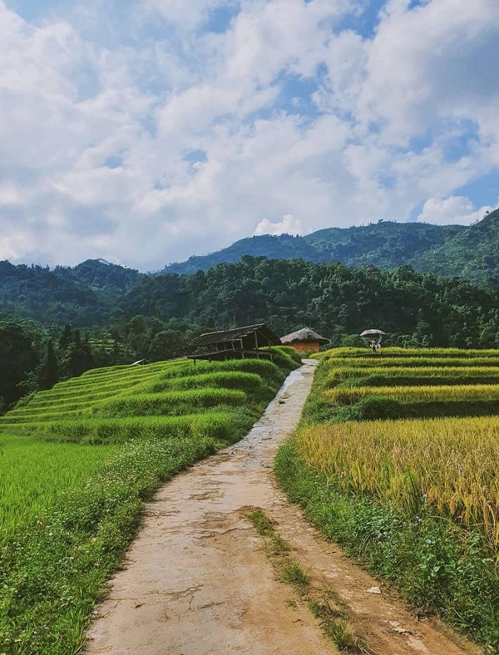 Explore Thong Nguyen Ha Giang with picturesque scenery