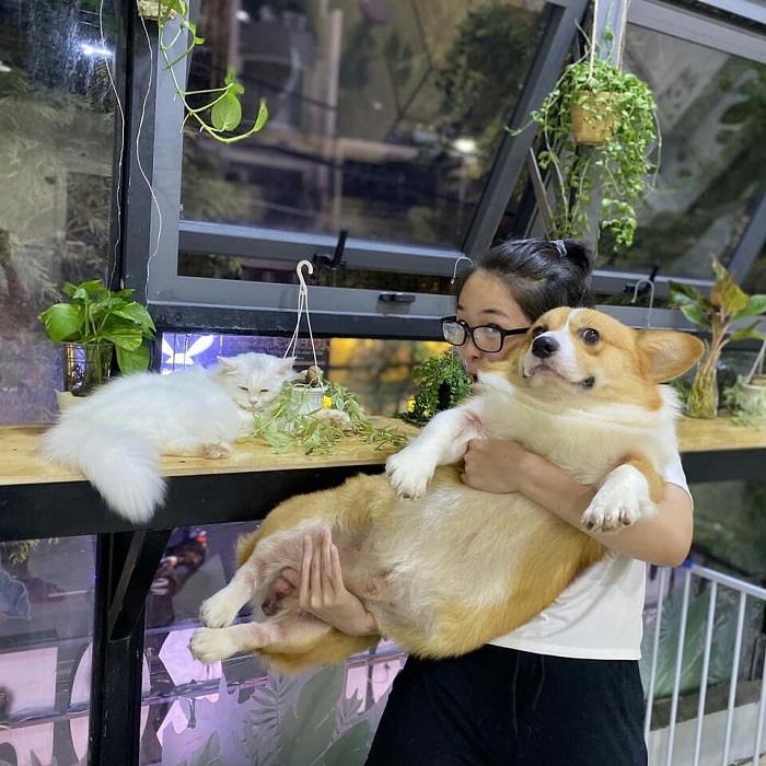 Yuna Alaska Coffee là quán cà phê thú cưng ở Việt Nam sở hữu không gian xinh xắn