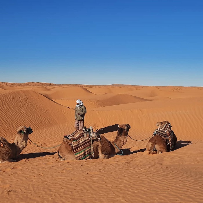 Trải nghiệm ở sa mạc Ksar Ghilane Tunisia