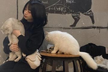 Những quán cà phê thú cưng ở Việt Nam siêu đáng yêu, dành cho ‘hội con sen’ mê chó mèo