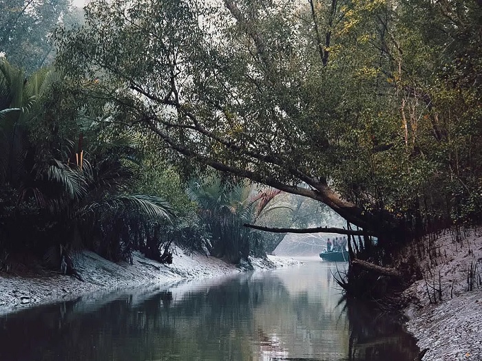 Tham quan Sundarbans - du lịch Kolkata