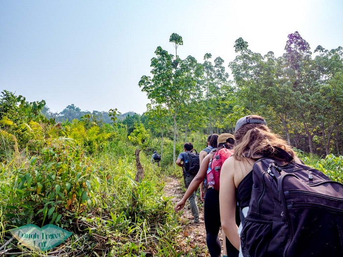 Du lịch Luang Namtha Lào có những trải nghiệm gì hấp dẫn? 