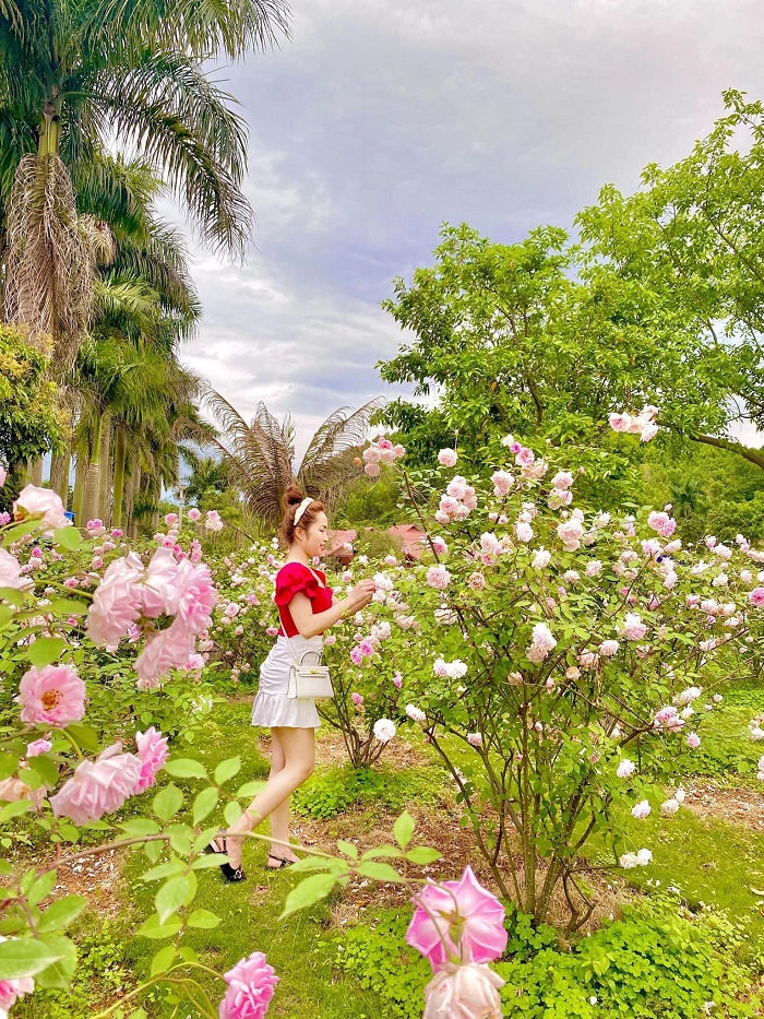 Những trải nghiệm hấp dẫn ở Yasmin Farm Thái Nguyên