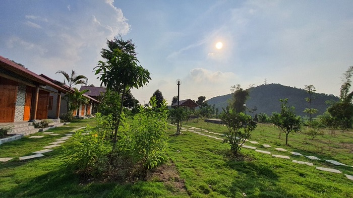 Những trải nghiệm hấp dẫn ở Yasmin Farm Thái Nguyên