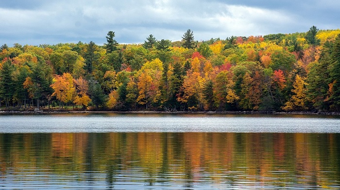 Công viên tiểu bang hồ Sebago - địa điểm ngắm mùa thu ở Maine