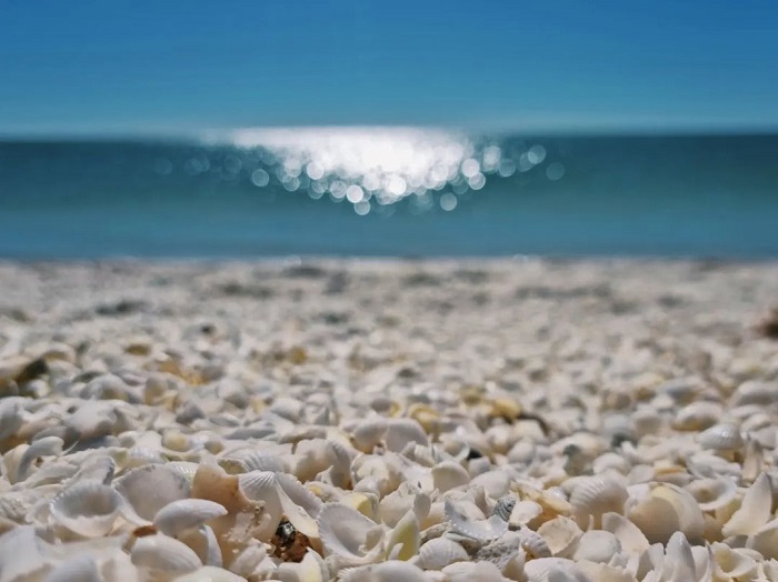 Shell là bãi biển độc đáo trên thế giới, đẹp nhất vào những ngày đầy nắng