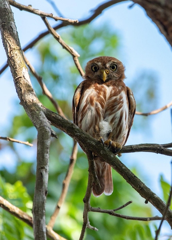 Tham quan công viên Quốc gia Cabo Blanco là trải nghiệm đặc sắc ở bãi biển Malpais