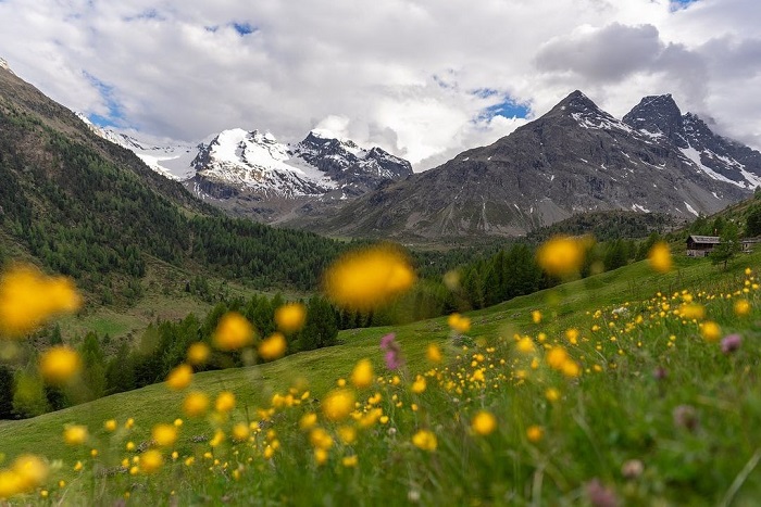 Alps là dãy núi đẹp trên thế giới mang những sắc màu tươi đẹp