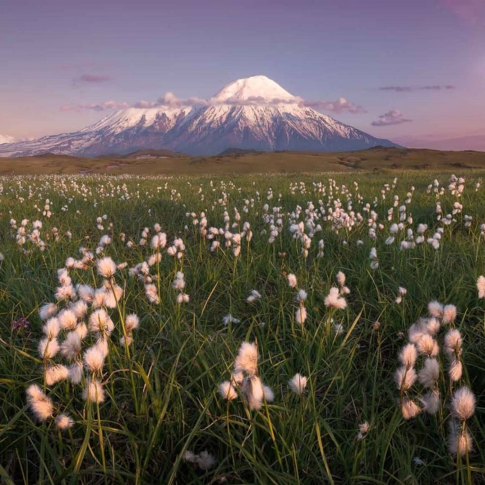 Núi lửa Kamchatka là di sản đẹp ở châu Á nằm tại nước Nga