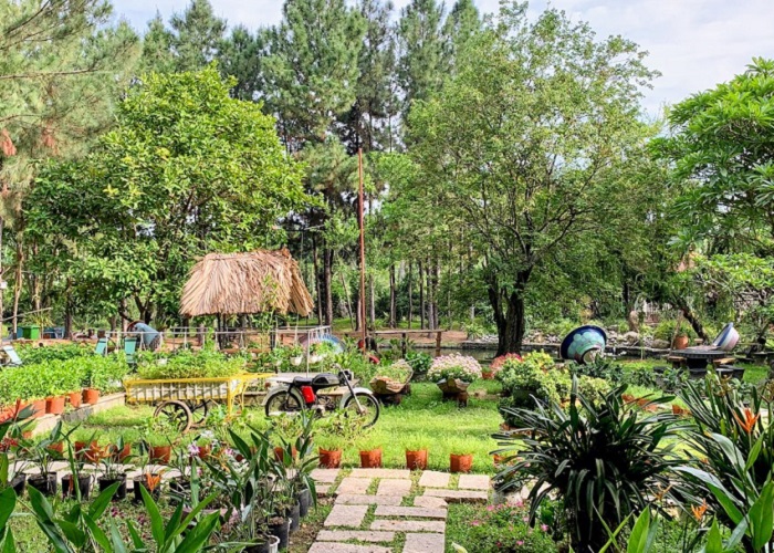 Định Hòa Garden sở hữu cảnh đẹp tựa như Đà Lạt