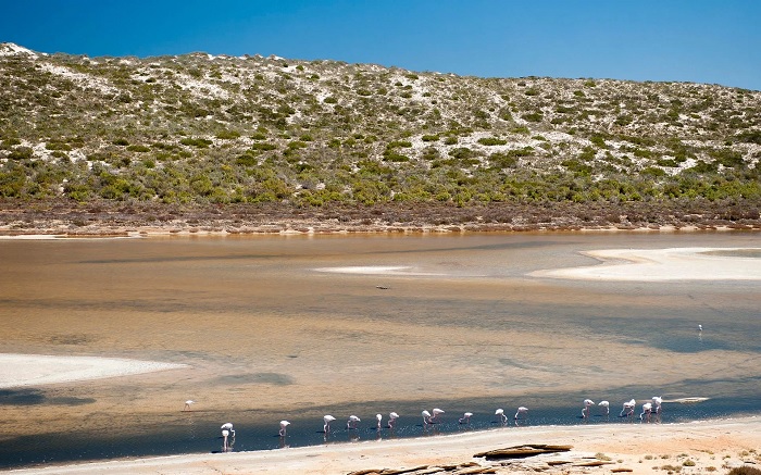 Vườn quốc gia Namaqua là một phần của quần xã Succulent Karoo