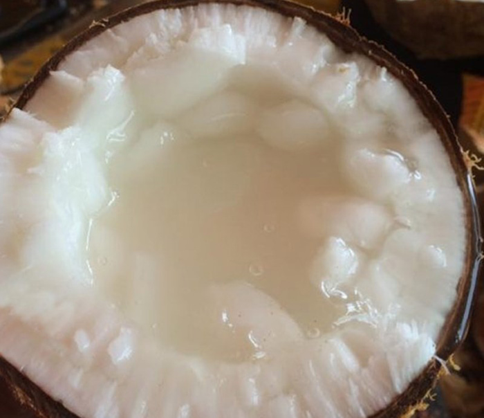 Điểm danh những món ngon từ dừa sáp Trà Vinh - Dừa sáp một món ăn