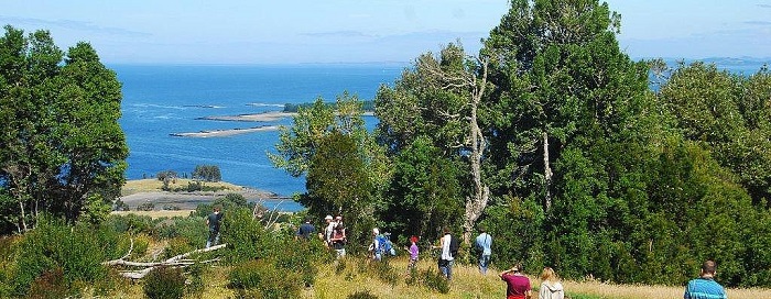 Vườn quốc gia Chiloé là điểm du lịch nổi bật ở quần đảo Chiloe Chile 