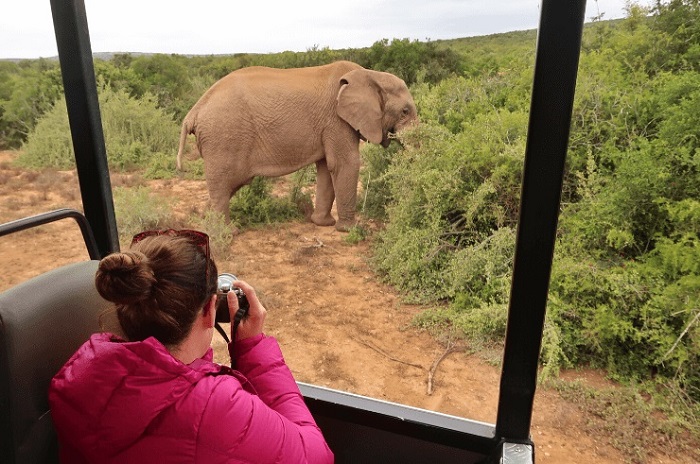 Tham gia các chuyến đi săn ảo là trải nghiệm hấp dẫn ở vườn quốc gia voi Addo