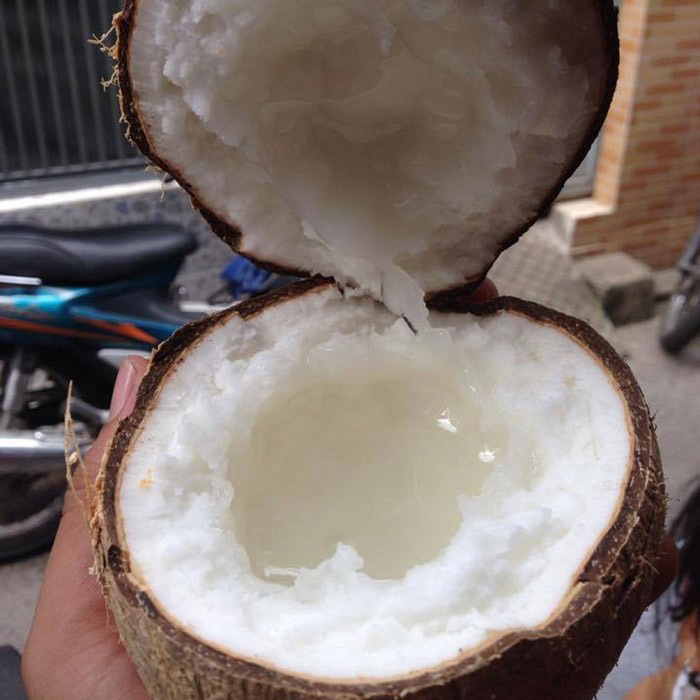 Điểm danh những món ngon từ dừa sáp Trà Vinh - Loại trái hiếm có