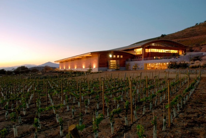 Viña Chocalán là nhà máy rượu vang nổi tiếng ở thung lũng Maipo