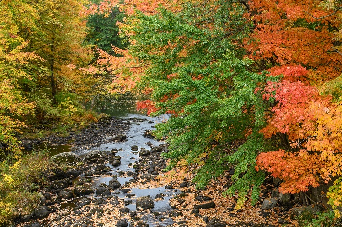 Công viên tiểu bang Grafton Notch - địa điểm ngắm mùa thu ở Maine