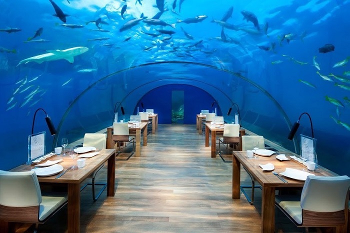 Poseidon Undersea Resort là một trong những resort đẹp nhất thế giới mang lại trải nghiệm độc đáo